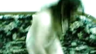 Sušikti Rebecca Volpetti, Pūlingas Ir Asilas.