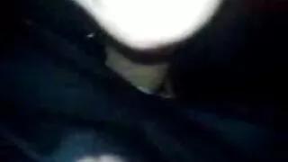Dantį arklys ant fotoaparato.