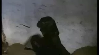 Dėdė baudžia KlerLer su seksu.