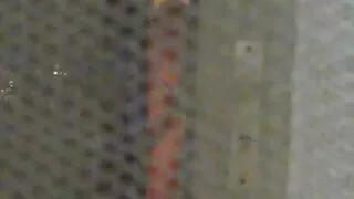 Rasių analinis lesbiečių seksas.